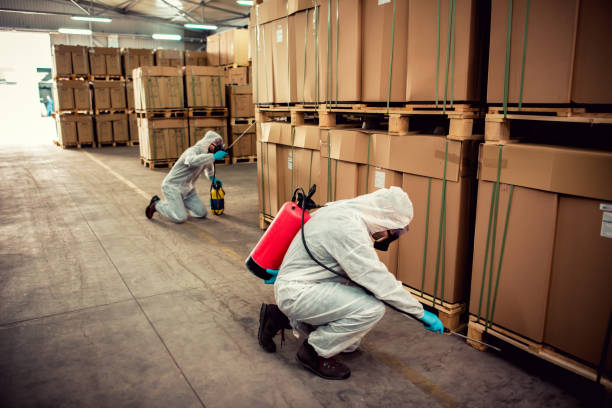 Best Ant Control Services  in Beecher, IL