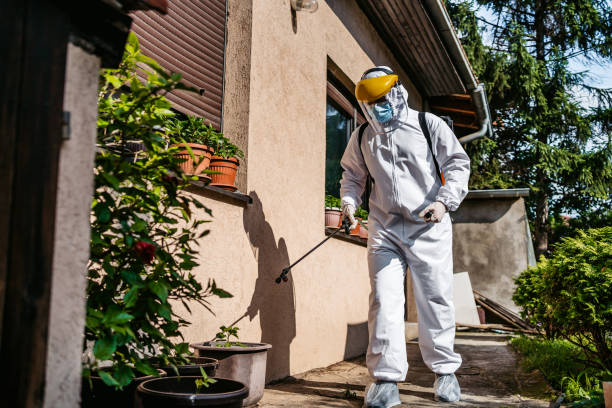 Best Best Pest Control Companies  in Beecher, IL