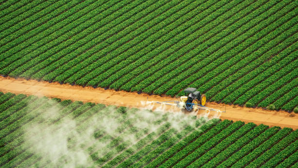 Pest Control Cost in Beecher, IL
