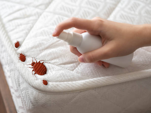 Best Local Pest Control Services  in Beecher, IL