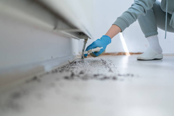 Professional Pest Control in Beecher, IL