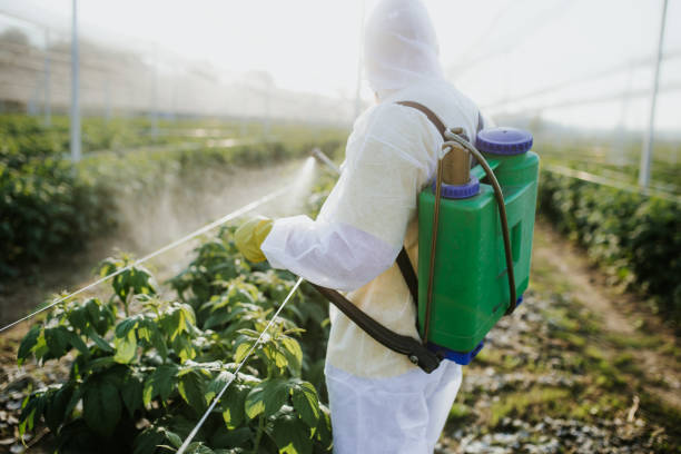 Best Flea Control Services  in Beecher, IL